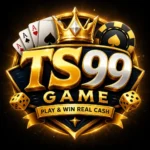 TS99 Game App
